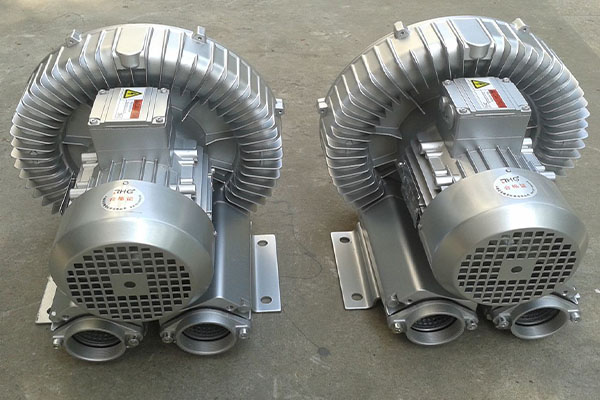 山東麻豆AV在线免费观看