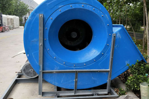 濟南麻豆AV在线免费观看