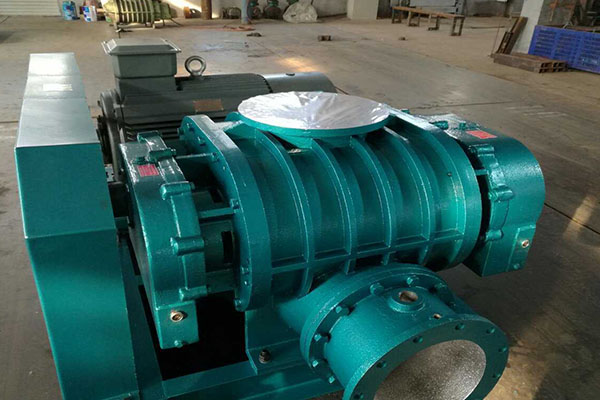 山東麻豆AV在线免费观看