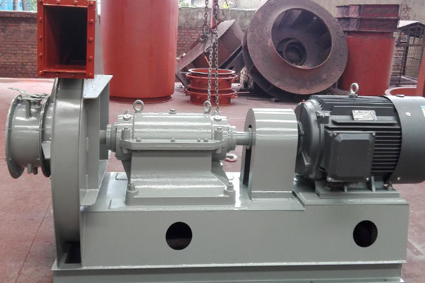 山東麻豆AV在线免费观看