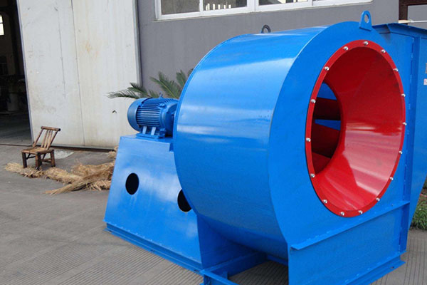 山東麻豆AV在线免费观看