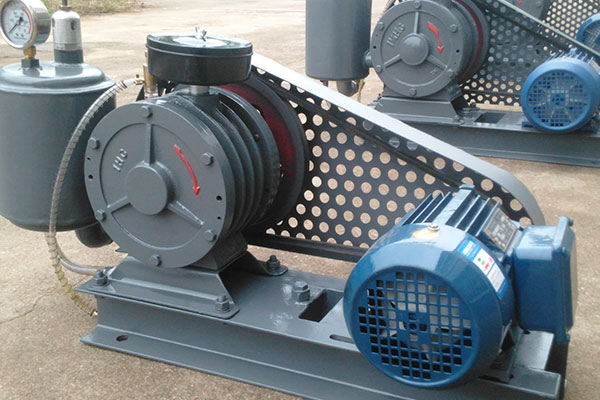 山東麻豆AV在线免费观看