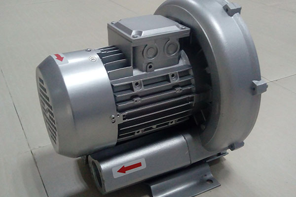 山東麻豆AV在线免费观看