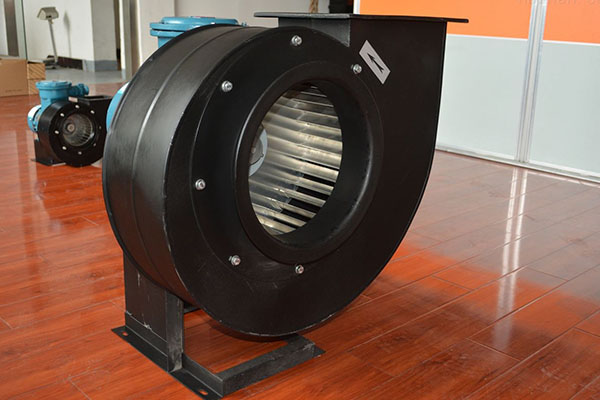 離心引麻豆AV在线免费观看