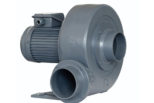 濟南麻豆AV在线免费观看