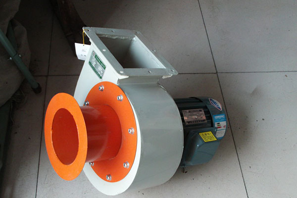 濟南麻豆AV在线免费观看