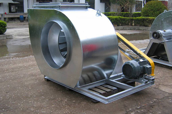 山東麻豆AV在线免费观看