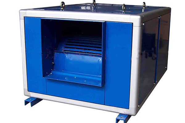 山東麻豆AV在线免费观看