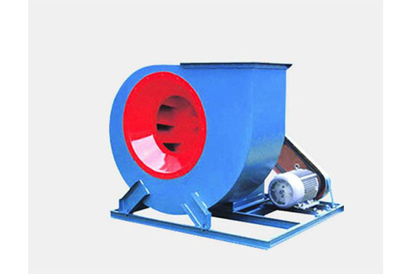 山東麻豆AV在线免费观看