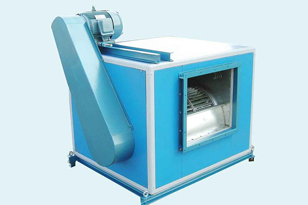 山東麻豆AV在线免费观看