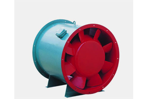 山東麻豆AV在线免费观看