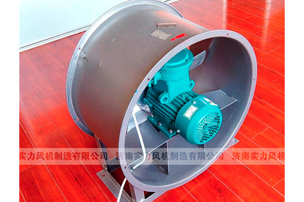 山東麻豆AV在线免费观看