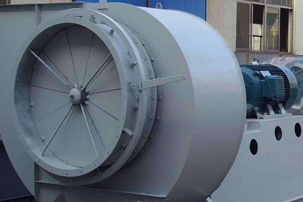 山東麻豆AV在线免费观看