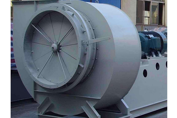 山東麻豆AV在线免费观看