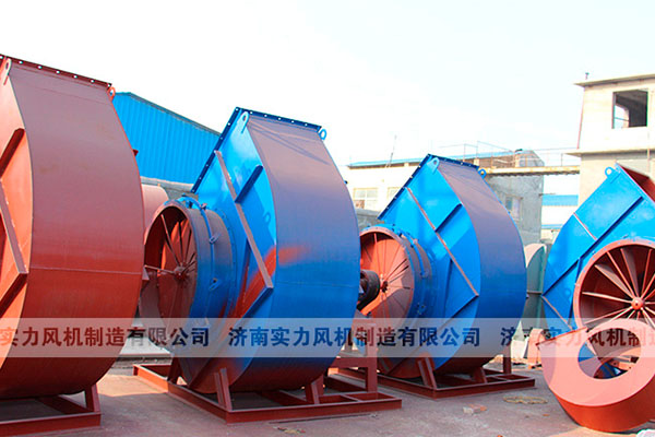 山東麻豆AV在线免费观看