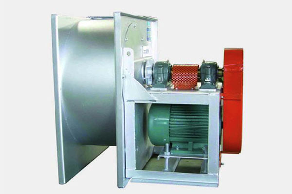 山東麻豆AV在线免费观看