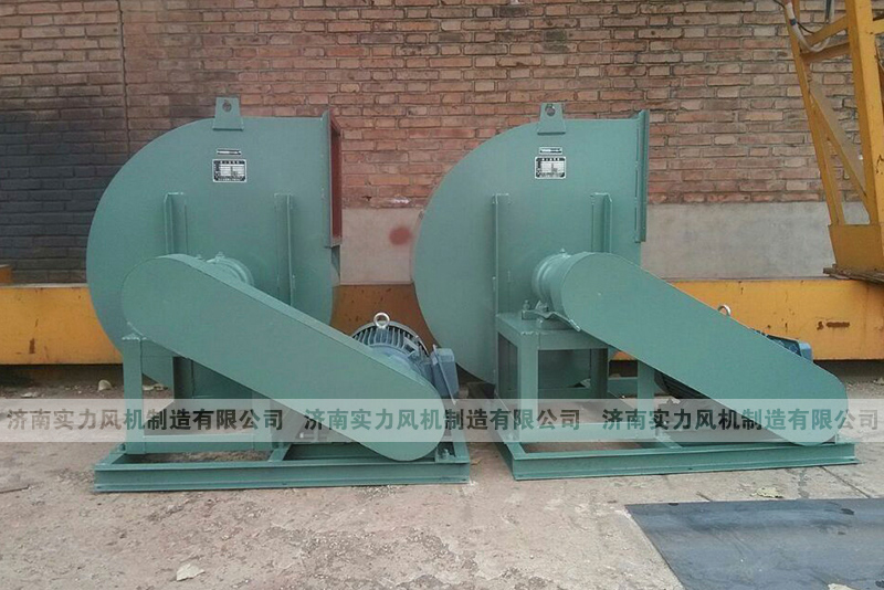 濟南麻豆AV在线免费观看