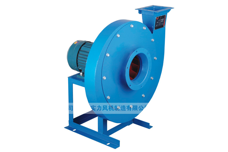 山東麻豆AV在线免费观看