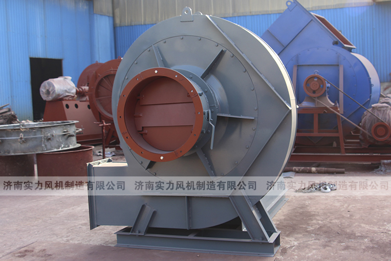 濟南麻豆AV在线免费观看