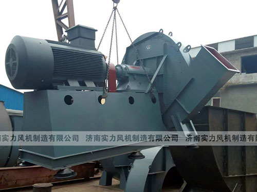 麻豆AV在线免费观看