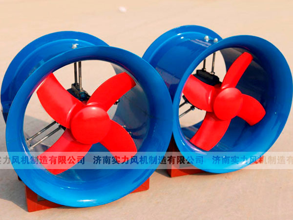 山東麻豆AV在线免费观看