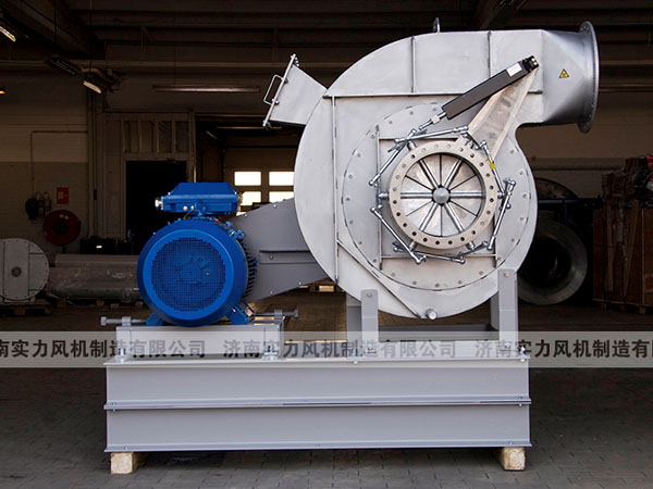 山東麻豆AV在线免费观看