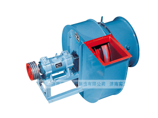 山東麻豆AV在线免费观看