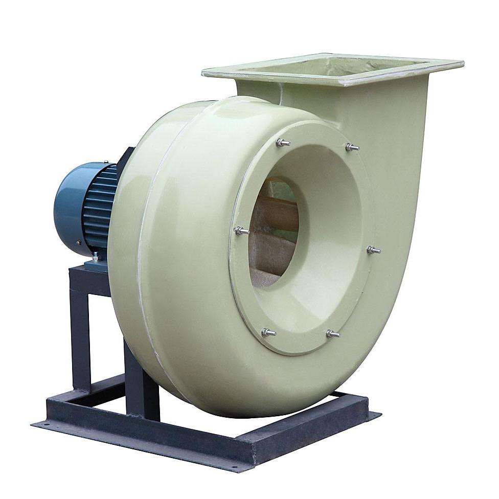 山東麻豆AV在线免费观看