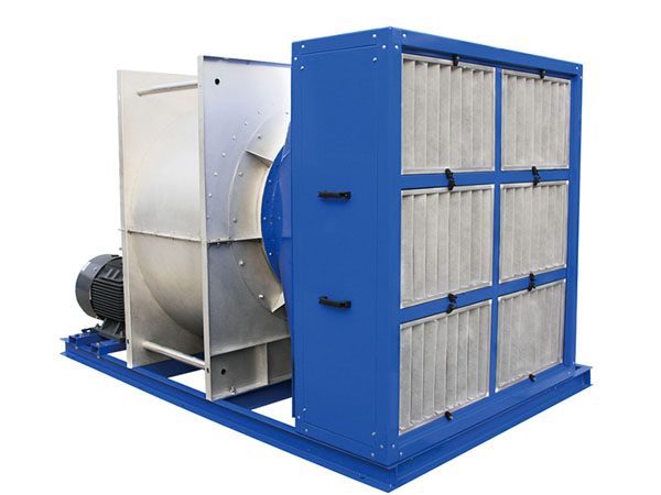 山東麻豆AV在线免费观看