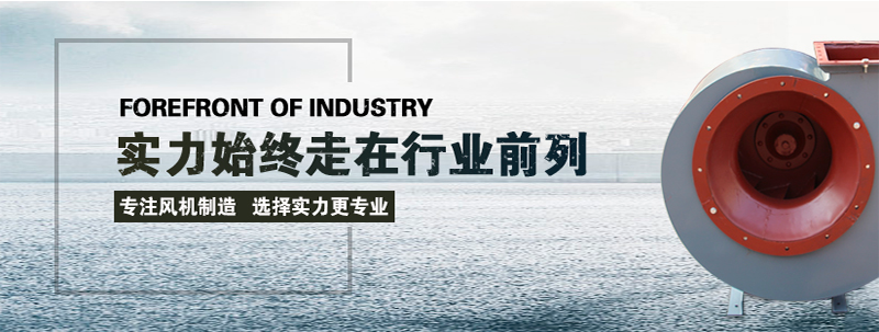 山東麻豆AV在线免费观看